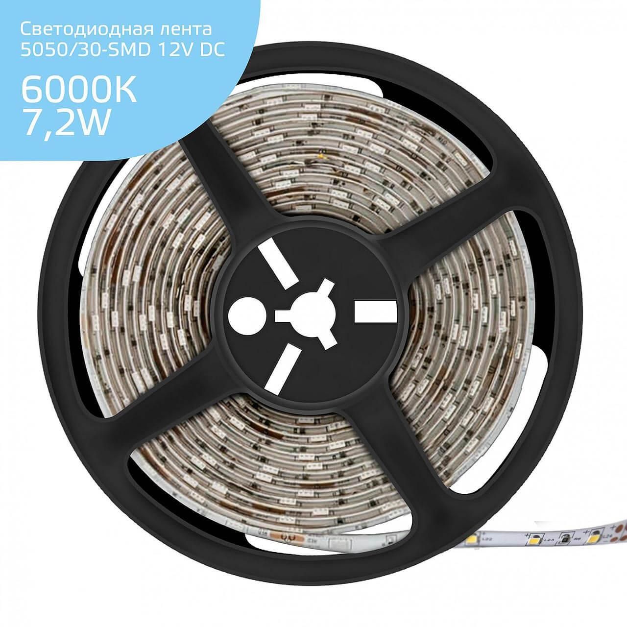 Фото 356000307