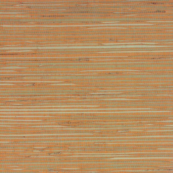 Фото обоев Ниас 4,5