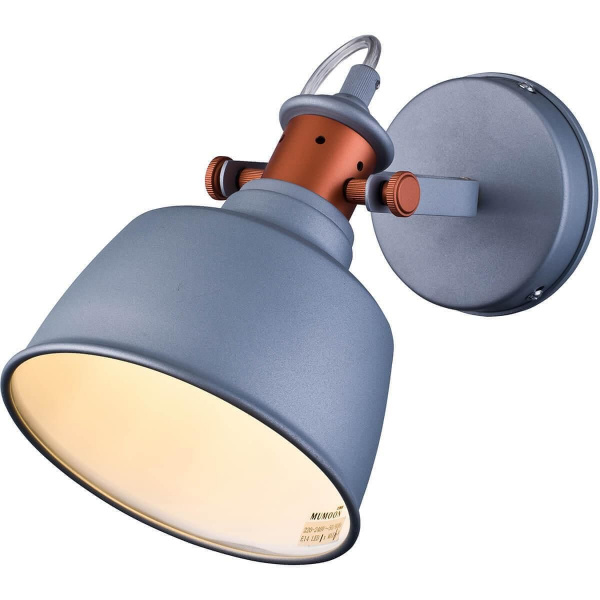 Фото светильника INDUSTRIAL W1820.1 SAND SILVER