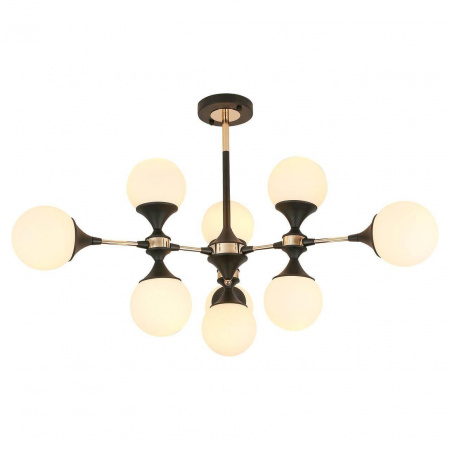 Фото светильника LSP-8306