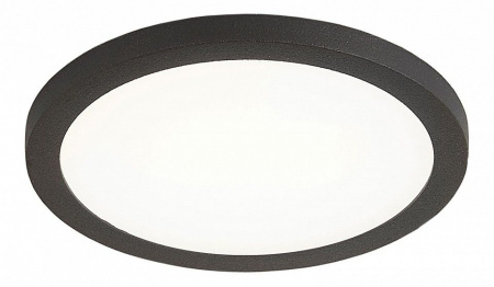 Фото светильника CLD50R082