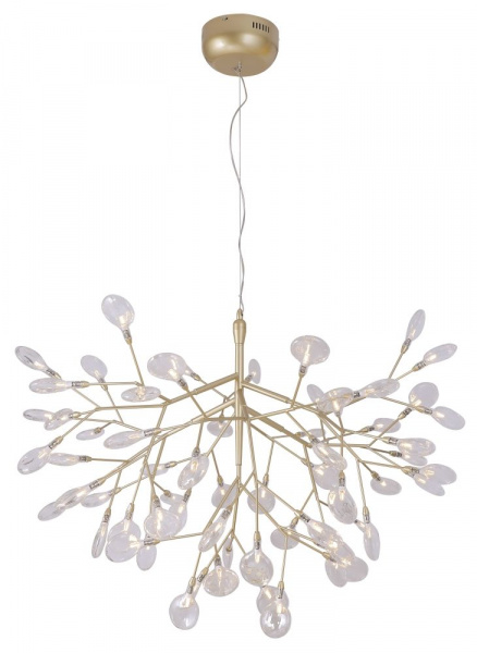 Фото светильника EVITA SP63 GOLD/TRANSPARENT