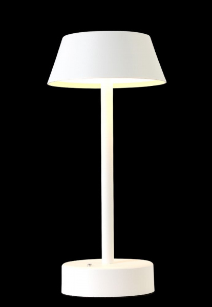 Фото светильника SANTA LG1 WHITE