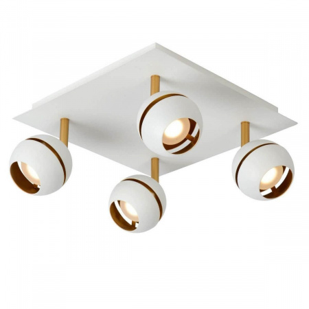 Фото светильника 77975/20/31